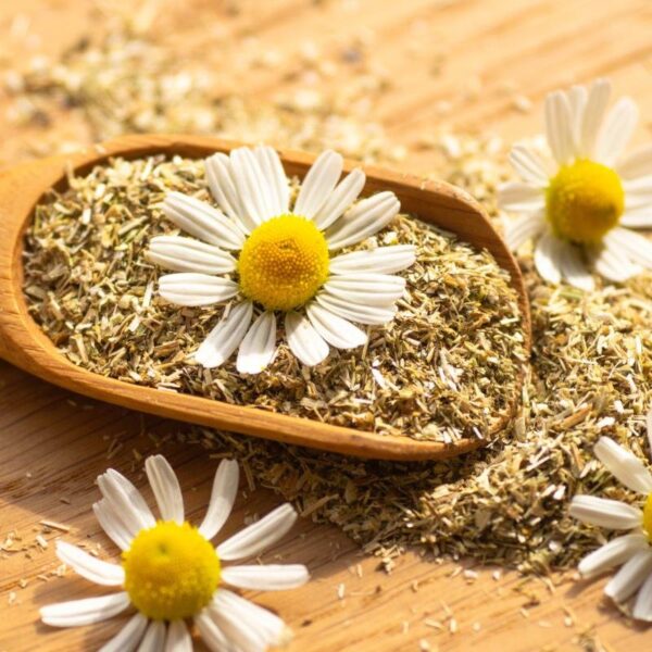 Chamomile Green Tea - Image 2