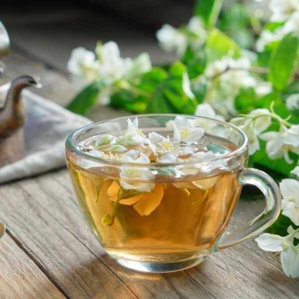 Jasmine Green Tea