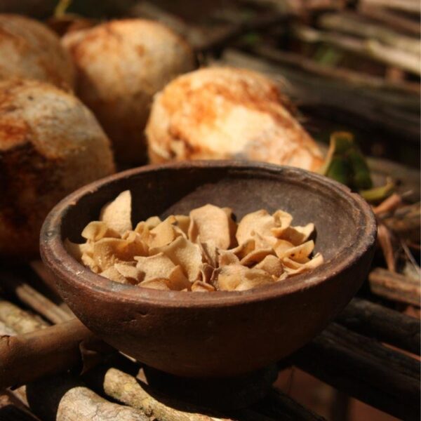 Coconut Chips -Spicy Flavor