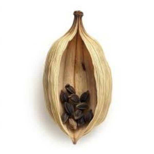 Natural Cardamom Seeds (SL ) - Image 2