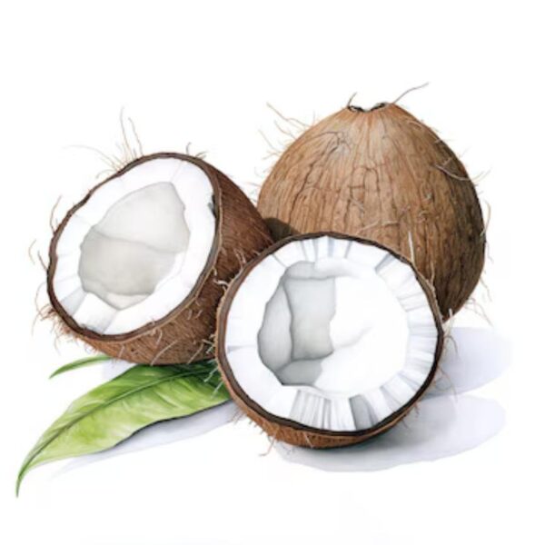 Organic Coconut Syrup - Image 2