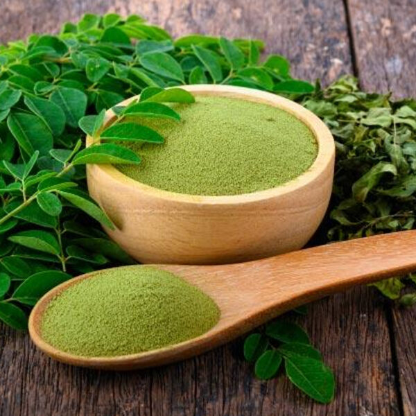 Moringa Powder