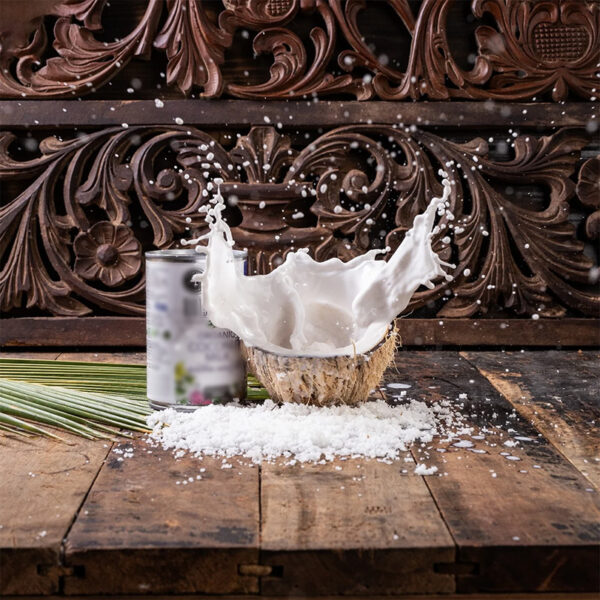 Organic Coconut Milk Can (17%)